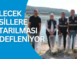 Göllere 35 bin yavru balık bırakıldı