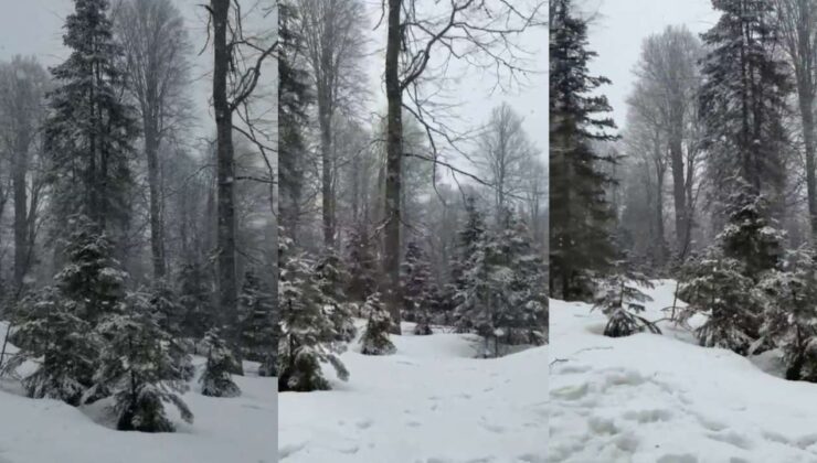 Düzce’de Yüksek Kesimlerde Kar Yağışı Etkili Oluyor