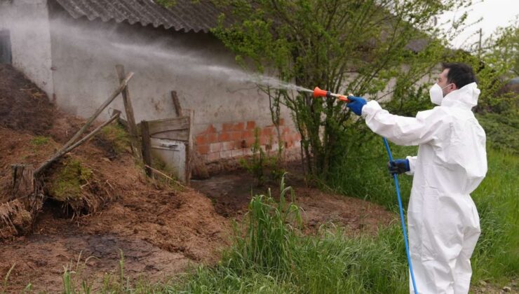 Düzce’de Sivrisineğe Karşı 63 Mahallede Yoğun Mücadele